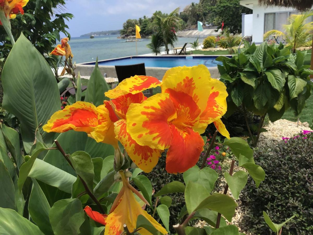 Bamboobeachvilla2 Ac New Oceanfront Pool Sunsetview Garden Kitchen Satellite Starlink Wi-Fi Dimiao المظهر الخارجي الصورة